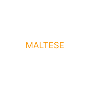 Maltese